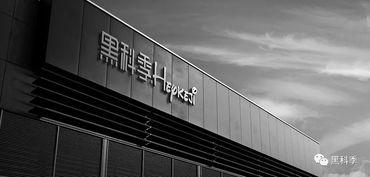 52黑科网今日黑科独家