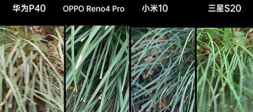 青草国产视频,探寻自然之美与生态和谐